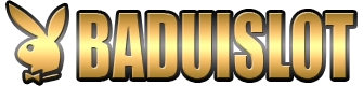 logo BADUISLOT 
